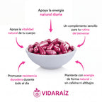 Cápsulas de Remolacha Vida Raíz para Favorecer la Circulación y la Vitalidad*
