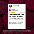 Cápsulas de Remolacha Vida Raíz para Favorecer la Circulación y la Vitalidad*